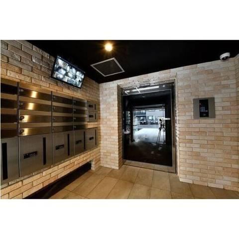 セントポーリアシュシュ