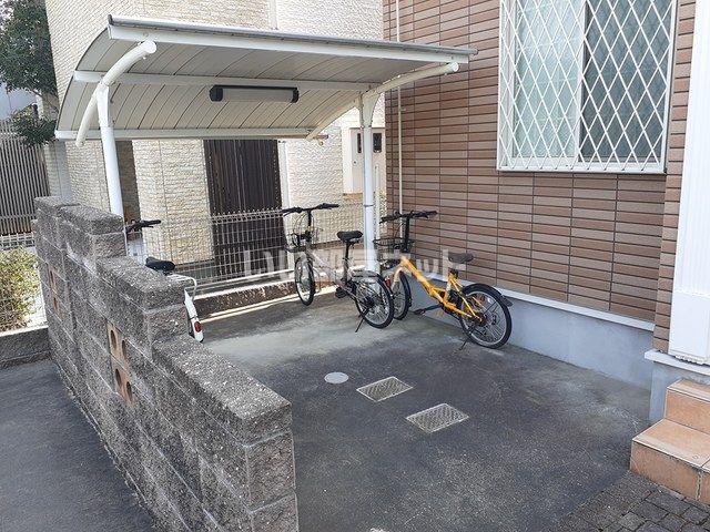 グリーン フォレスト