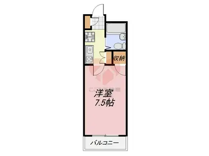 ラポール向陵(1K/1階)の間取り写真