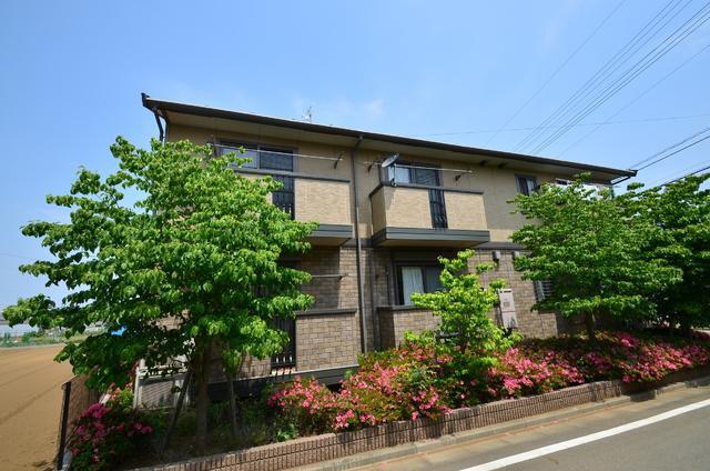 ラークヒルズII(1LDK/1階)