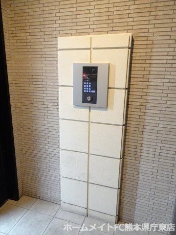 クィーンズくまなん