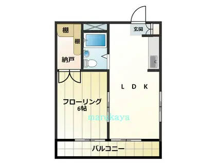 サンライズ(1LDK/1階)の間取り写真