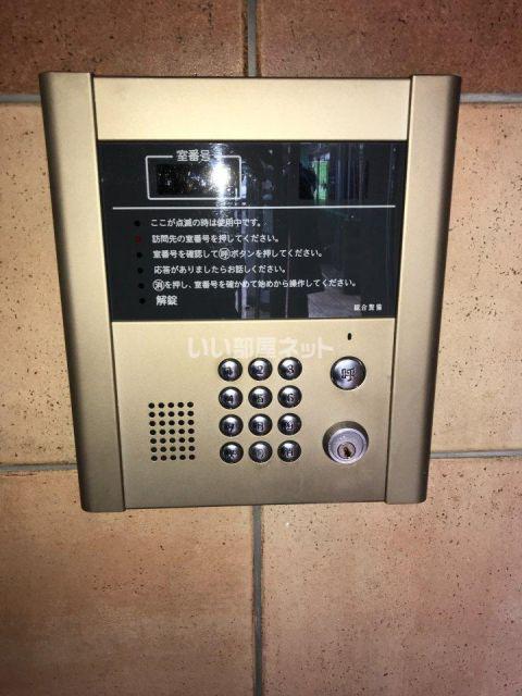 パレベルマリン