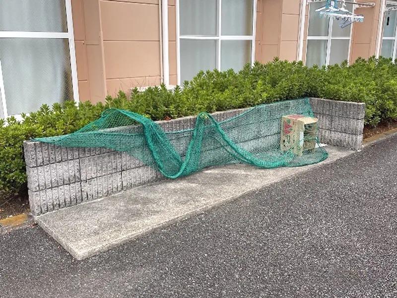 カサデリベルタ