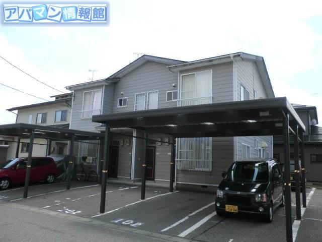 サンフラワー黄金
