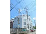 埼玉新都市交通伊奈線 鉄道博物館駅 徒歩17分 5階建 築36年