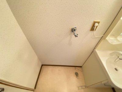 セントハウス