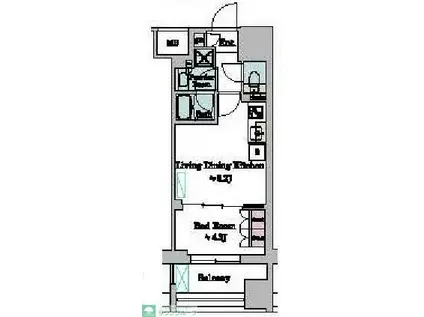 BRILLIA IST 墨田曳舟(1LDK/11階)の間取り写真