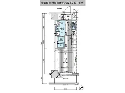 メインステージ亀戸(1K/7階)の間取り写真