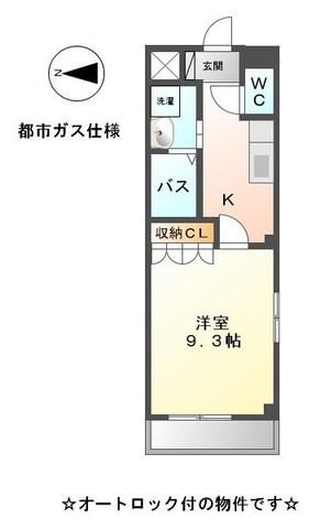 ラッフル金城(1K/3階)の間取り写真