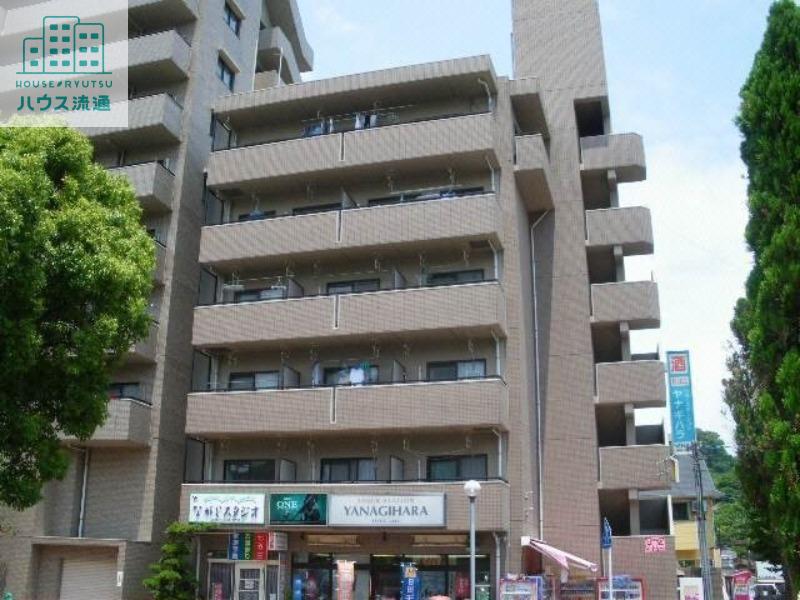 びーの柳原