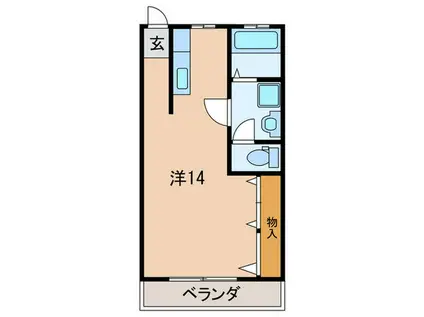 ドムール松原(ワンルーム/5階)の間取り写真