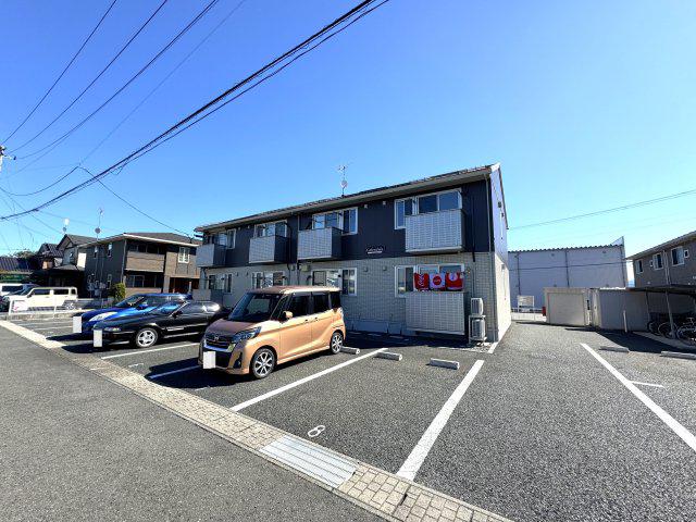 カレンデュラ