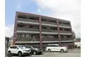 ピンクフィールド