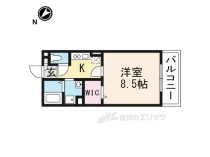 フルーレコート(1K/1階)の間取り写真