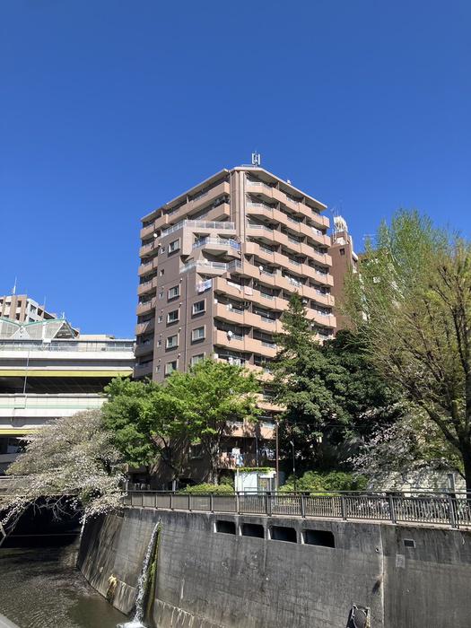 パラスト新板橋