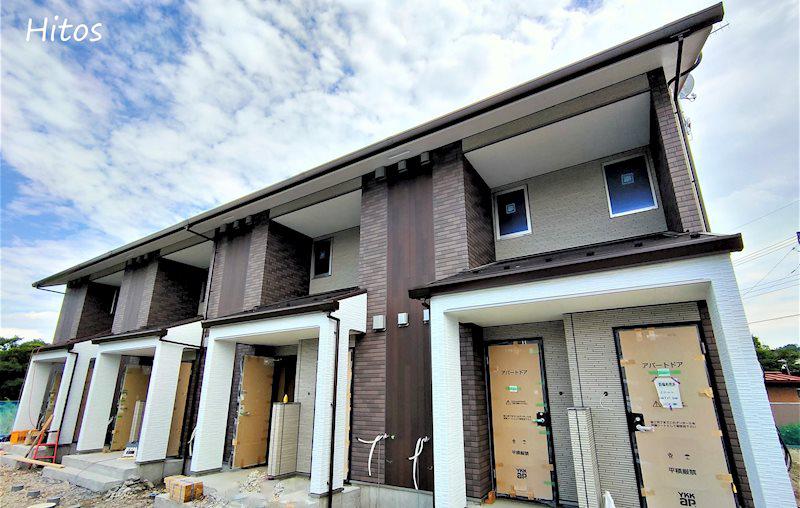 SUNNY FLAT