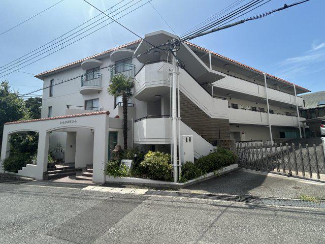 シャムロックⅡコート
