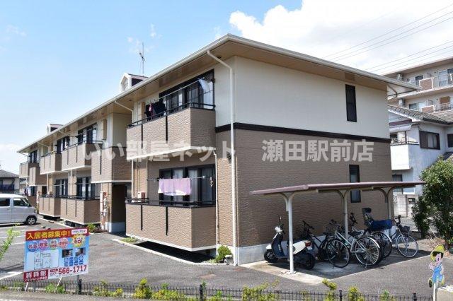 アゼリアセタ