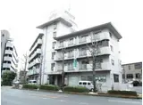 セシル古市