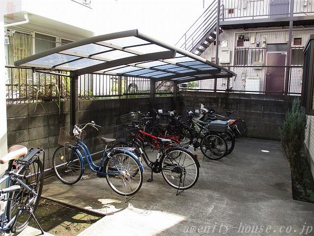 SE ラズベリーリーフ