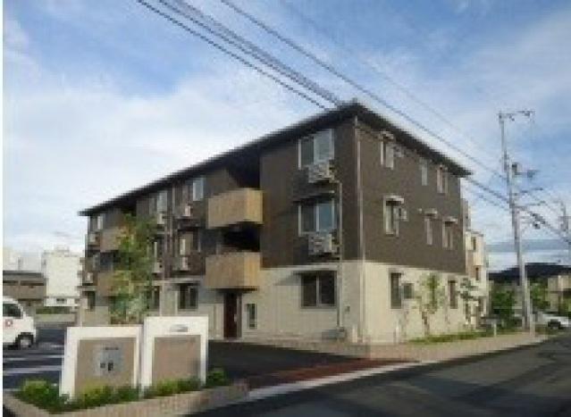 D-ROOM椿