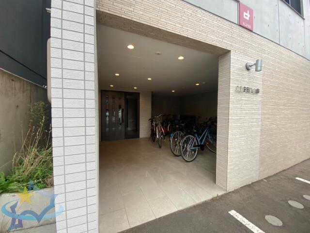ALPHA山鼻