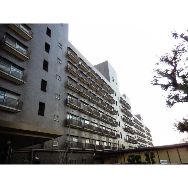 メゾン甲子園