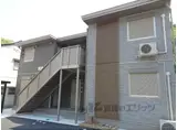 カモミール