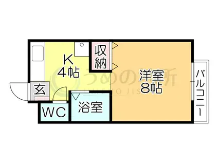 パナハイツ諏訪(1K/1階)の間取り写真