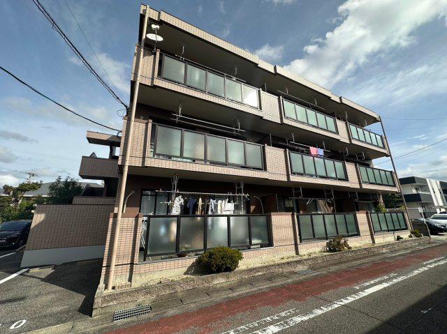 シャルマン光