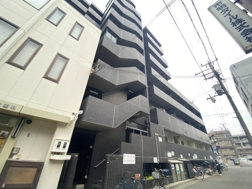 シロハイヌ尼崎