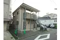 スカイウイング