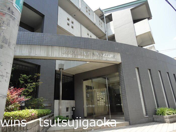 ジョイコート仙川