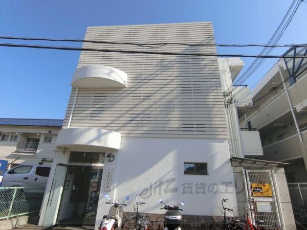 シロハイヌ