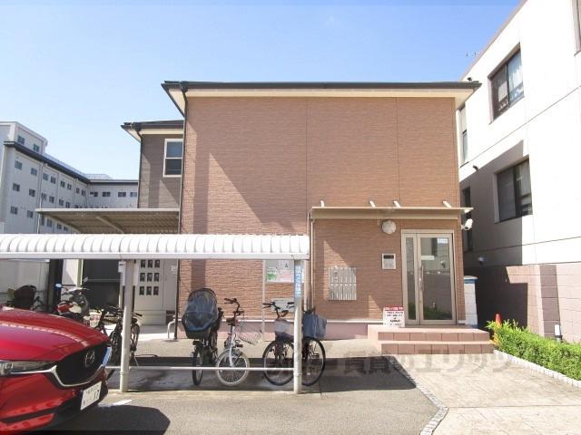 SUNLIT朱雀