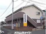 BEE アムール