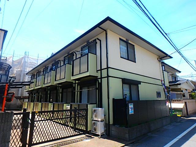 アスターグリーン
