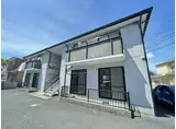 サンフラワー イイダ