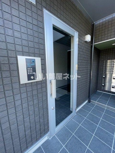 MODERN PALAZZO 貝津FAVEUR