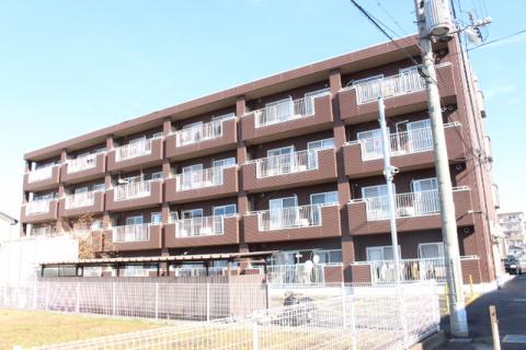 モラーダアオキ