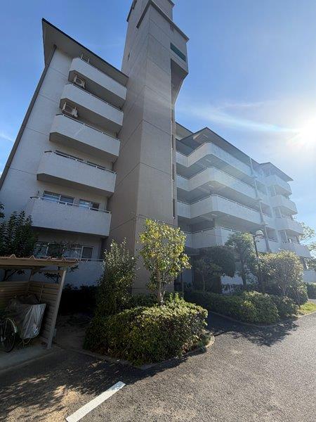芦屋緑2 9号棟