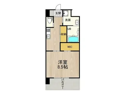 PHOENIX CLOVE TOMOI(1K/5階)の間取り写真