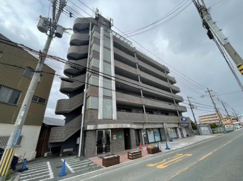センターコート(2DK/5階)