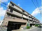 フィオーレ新宿