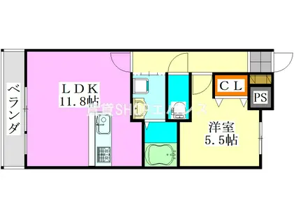 ベルファミーユ高根台II(1LDK/1階)の間取り写真