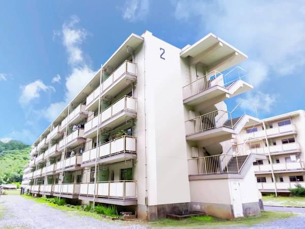 ビレッジハウス浦田3号棟(3DK/1階)