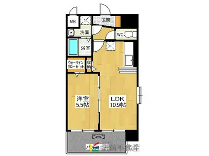 アクアルーチェ(1LDK/8階)の間取り写真