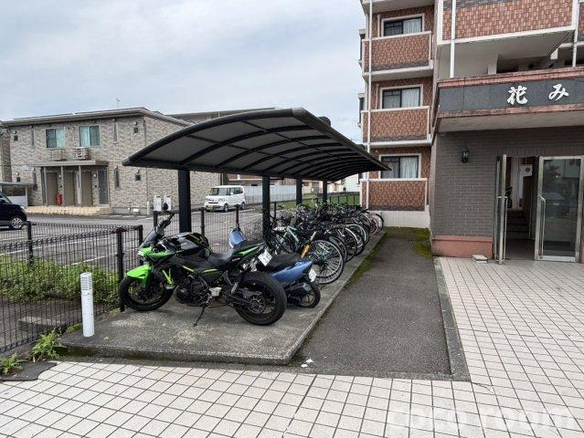 花みずき