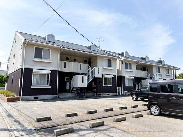 アドニスT・M NO1NO2 NO2